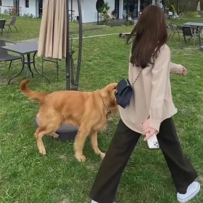 美好未来